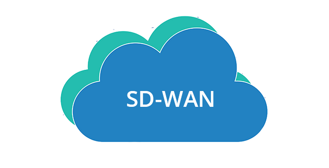 強大的SD-WAN有何特征？.png