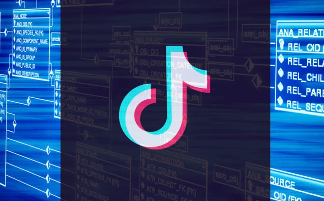 性價(jià)比高的印度尼西亞tiktok節(jié)點(diǎn)有何推薦？.png