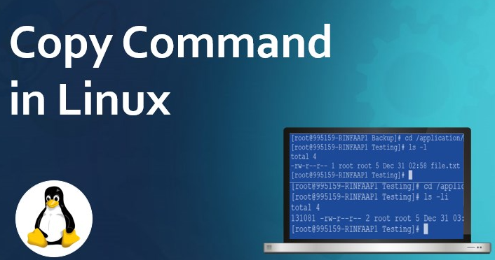 linux復(fù)制文件cp命令怎么使用？.png