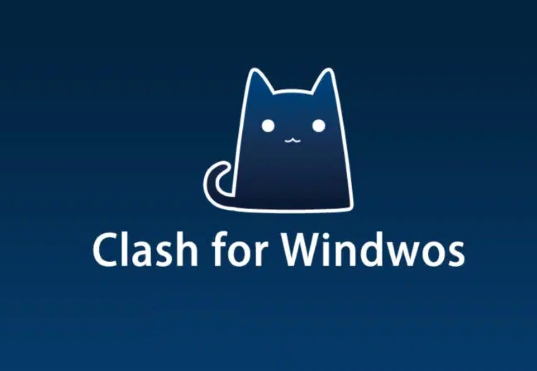 clash for windows節(jié)點(diǎn)怎么選擇？.png