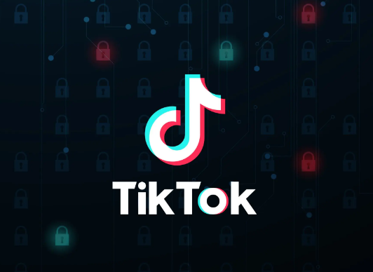 tiktok直播運(yùn)營(yíng)的服務(wù)器該怎么選？.png